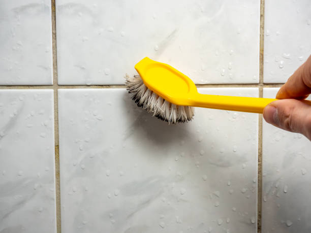 Best Preventive Mold Services in Desert View Highlands, CA