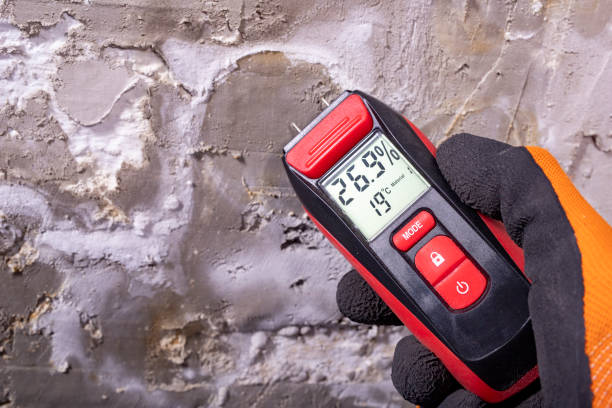 Best Preventive Mold Services in Desert View Highlands, CA