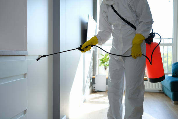 Best Post-Remediation Services in Desert View Highlands, CA