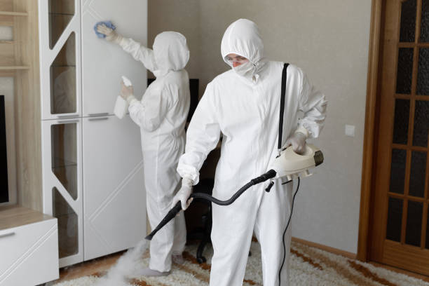 Best Post-Flood Mold Remediation in Desert View Highlands, CA