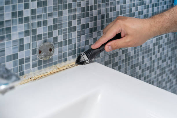 Best Mold Remediation for Specific Building Types in Desert View Highlands, CA