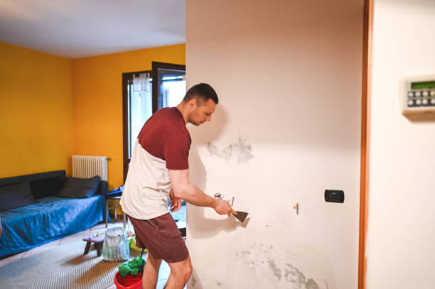 Best Black Mold Remediation in Desert View Highlands, CA